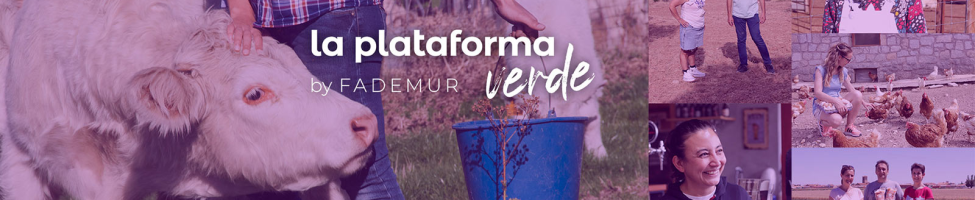 Go to the Plataforma Verde website