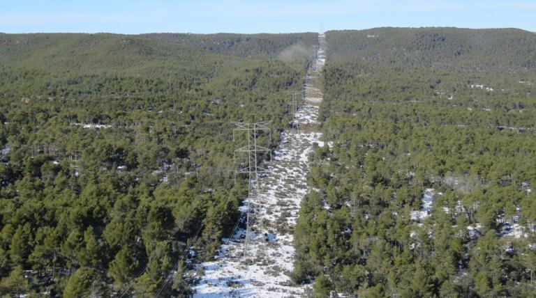 Línea eléctrica atravesando un monte con árboles y el suelo nevado
