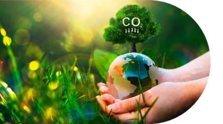 Hands on a lawn holding a world ball with a tree on top that says CO2 on it