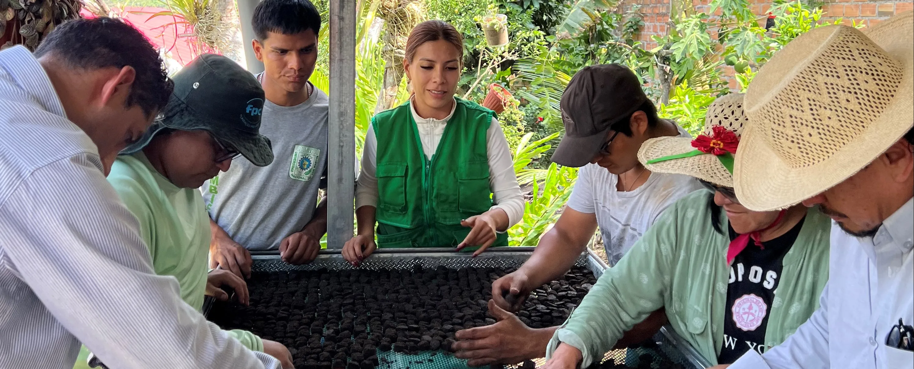 Redeia impulsa la restauración de ecosistemas degradados en Perú con la producción y dispersión de 28.000 semillas autóctonas