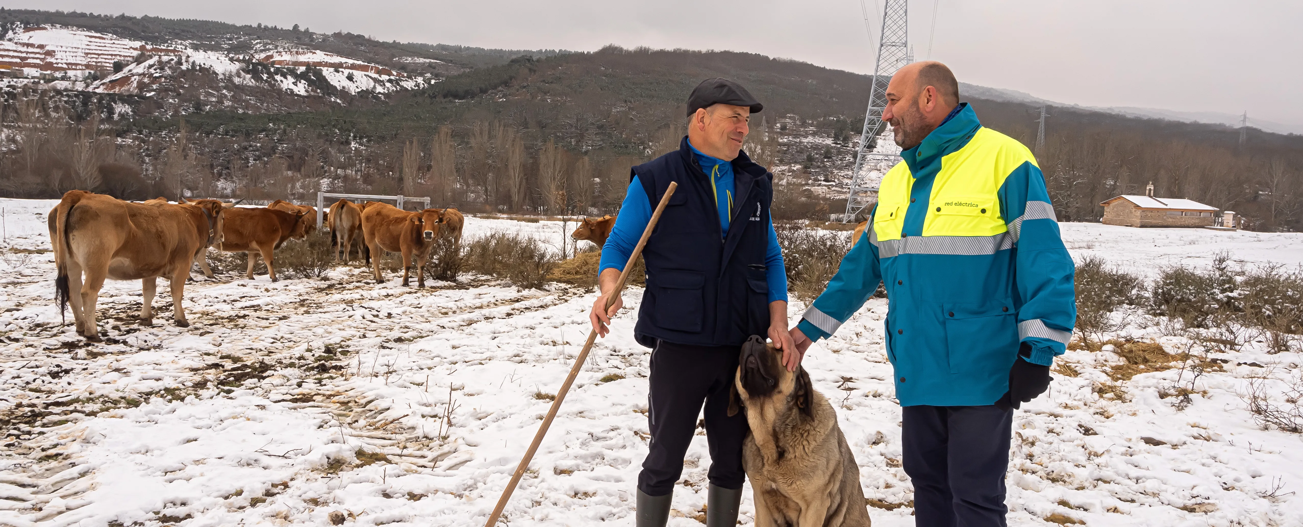 La UICN selecciona Pastoreo en Red como la única ‘solución basada en la naturaleza’ de España entre 21 buenas prácticas del mundo La UICN selecciona Pastoreo en Red como la única ‘solución basada en la naturaleza’ de España entre 21 buenas prácticas del mundo