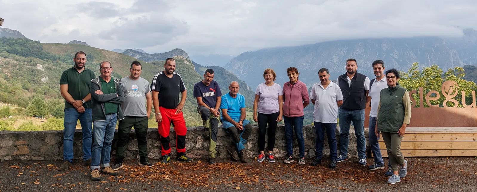 Cerca de 800 cabezas de ganado controlarán la vegetación bajo los tendidos de Red Eléctrica en Cabrales Cerca de 800 cabezas de ganado controlarán la vegetación bajo los tendidos de Red Eléctrica en Cabrales