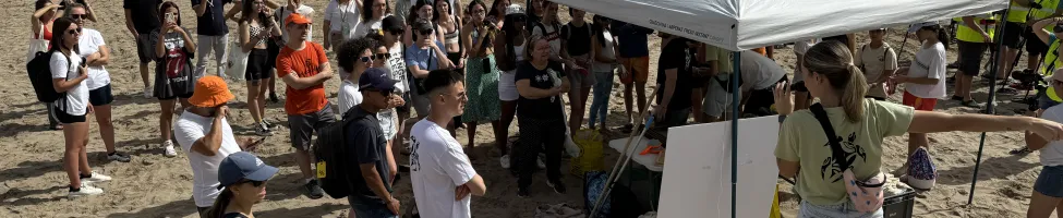 Limpieza de playas y jornada de concienciación sobre nidos de tortugas en el Día de los Océanos 2024. Limpieza de playas y jornada de concienciación sobre nidos de tortugas en el Día de los Océanos 2024.