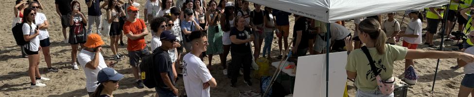Limpieza de playas y jornada de concienciación sobre nidos de tortugas en el Día de los Océanos 2024.
