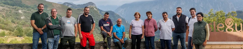 Cerca de 800 cabezas de ganado controlarán la vegetación bajo los tendidos de Red Eléctrica en Cabrales Cerca de 800 cabezas de ganado controlarán la vegetación bajo los tendidos de Red Eléctrica en Cabrales
