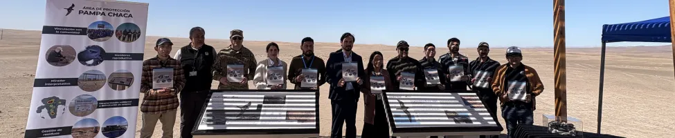 Redinter y la Red de Observadores de Aves y Vida Silvestre inauguran un nuevo área de protección para la golondrina negra en Chile
