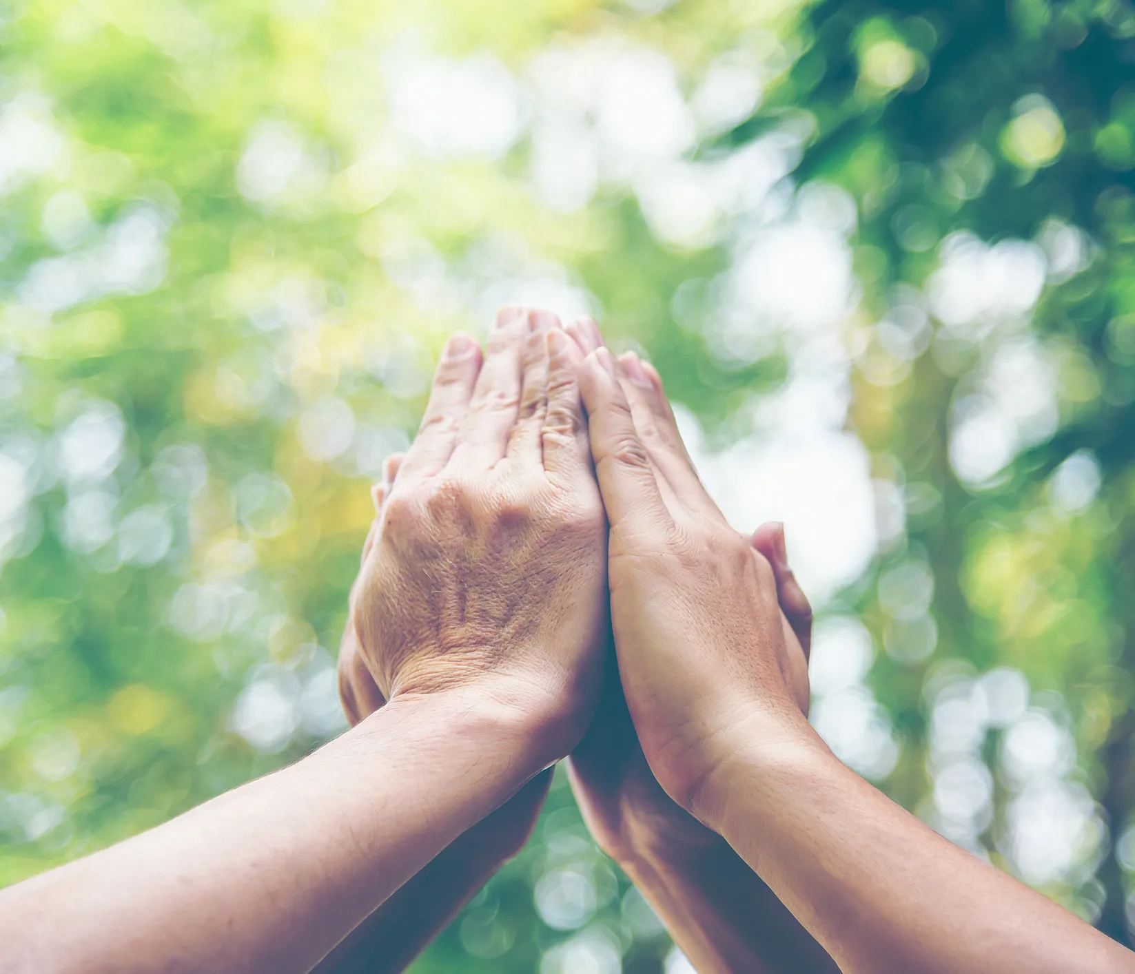 Cuatro manos unidas con vegetación al fondo