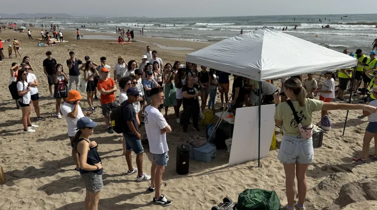 Limpieza de playas y jornada de concienciación sobre nidos de tortugas en el Día de los Océanos 2024.