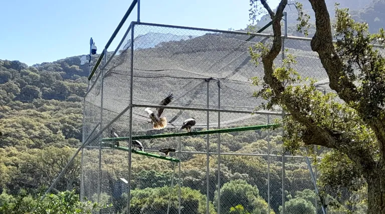 Commitment to the protection of biodiversity in Andalusia