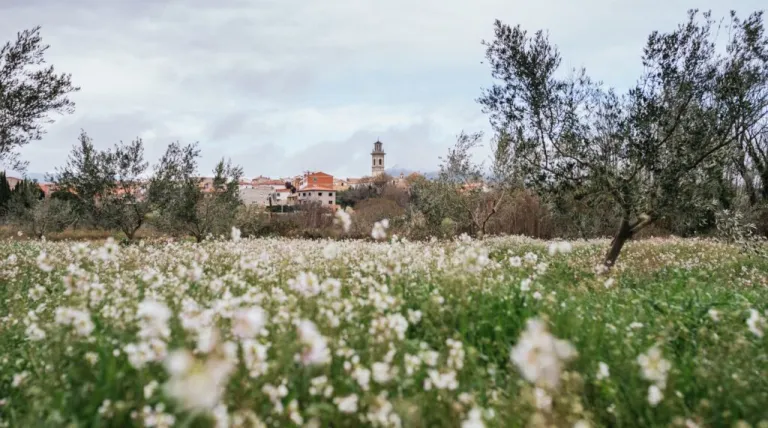 Grupo Motor promotes energy transition in rural communities 