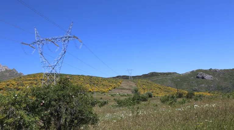 Redeia entra nuevamente en el Dow Jones Sustainability Index Europe y obtiene la segunda mejor puntuación en el índice de S&P Global 