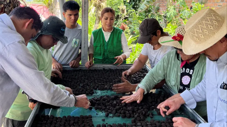 Redeia impulsa la restauración de ecosistemas degradados en Perú con la producción y dispersión de 28.000 semillas autóctonas