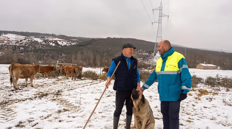 IUCN selects Pastoreo en Red as Spain's only ‘nature-based solution’ among 21 global best practices