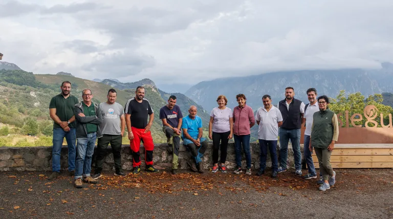 Cerca de 800 cabezas de ganado controlarán la vegetación bajo los tendidos de Red Eléctrica en Cabrales
