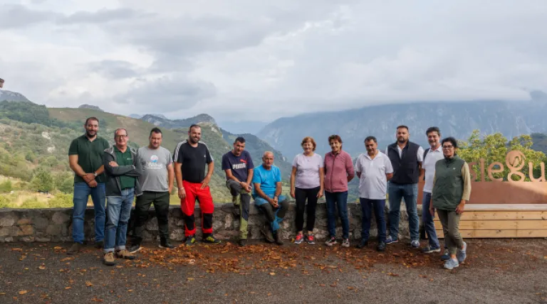Cerca de 800 cabezas de ganado controlarán la vegetación bajo los tendidos de Red Eléctrica en Cabrales