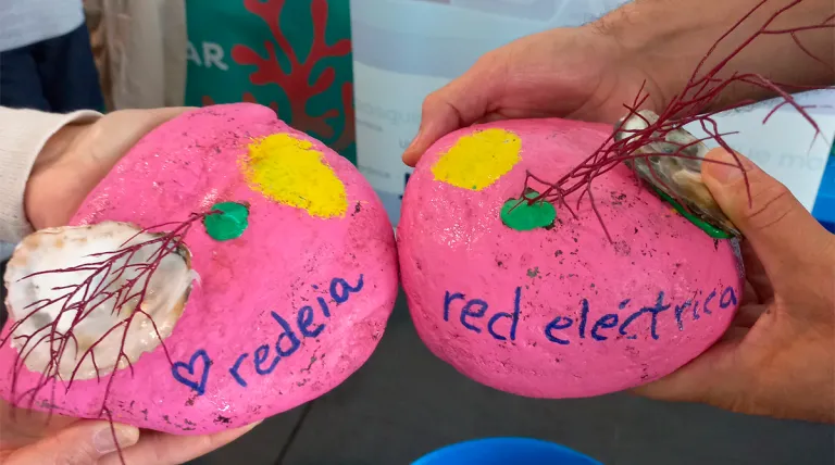 Restored gorgonias ready to go back to the sea with the ‘badminton' method