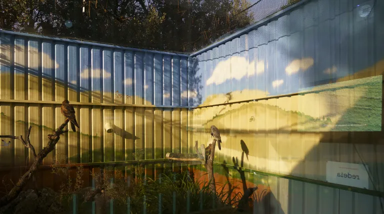 Recinto de aves esteparias en GREFA