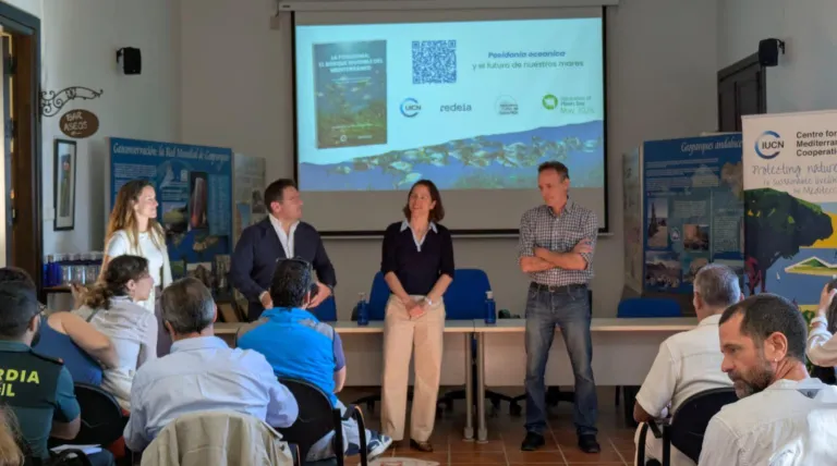  UICN y Redeia refuerzan su alianza para proteger la posidonia en Cabo de Gata (Almería)