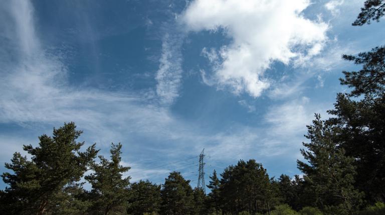 electric tower in the middle of a forest of trees