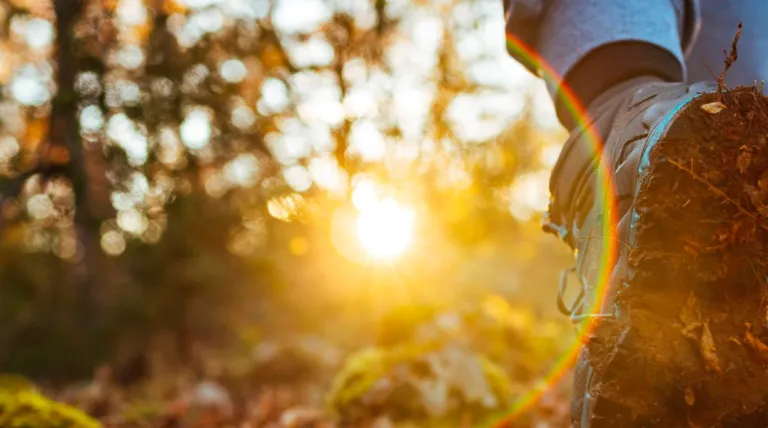 Jornadas de Sostenibilidad 2024
