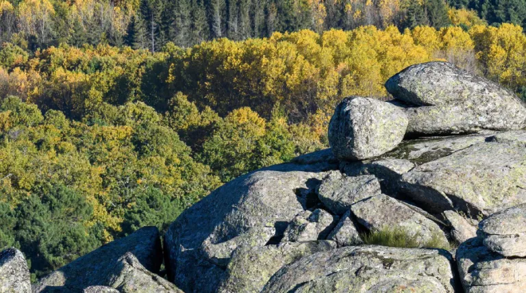 Guía para integrar la biodiversidad en las empresas