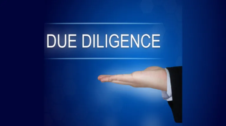 Due Diligence