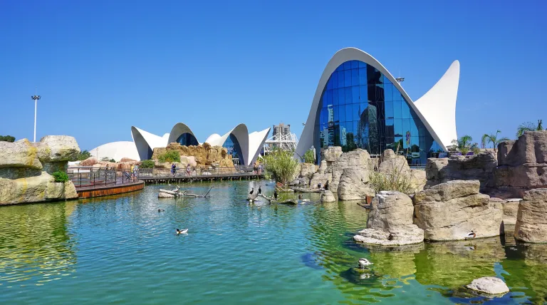 Valencia acoge el II Seminario Científico Bosque Marino