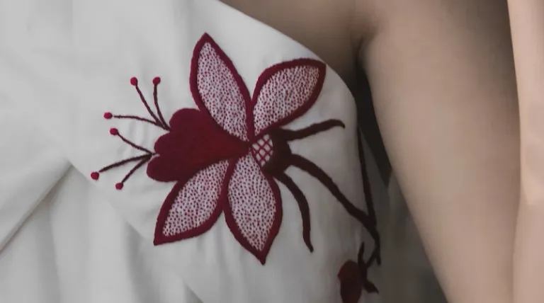Detalle de bordado