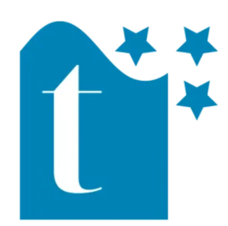 T3