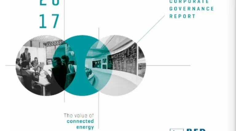 Go to Annual Corporate Governance Report 2017