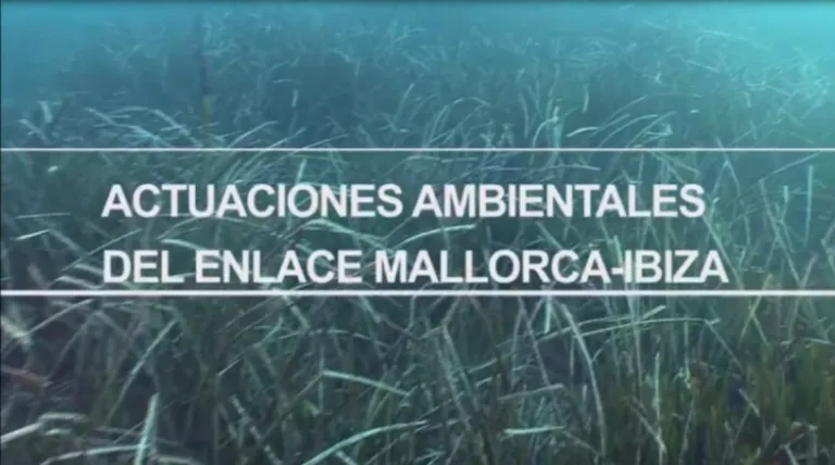Ir al vídeo