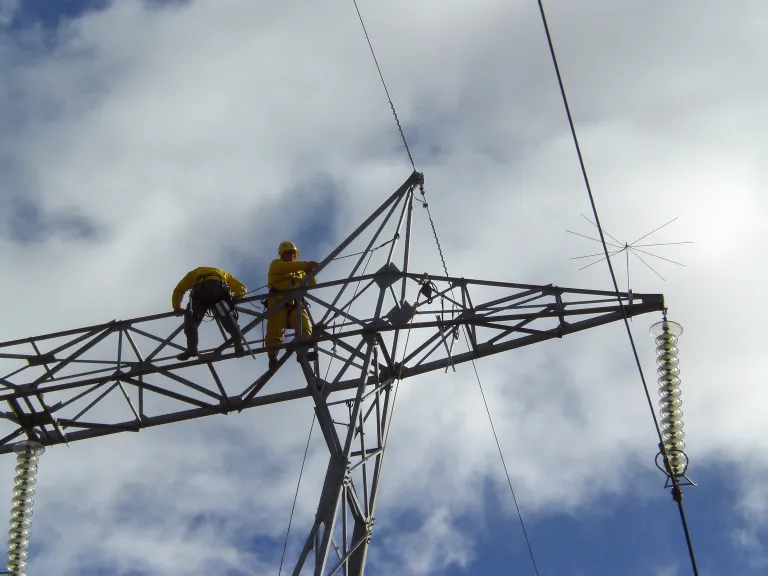 Colocación de disuasores.
