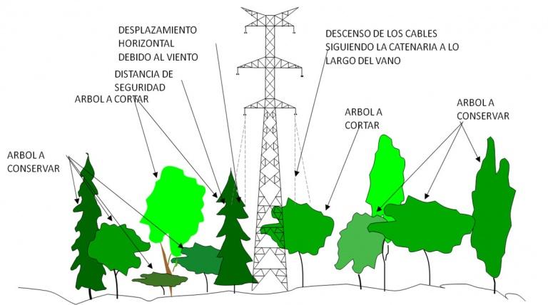 Esquema de tratamientos silvícolas.