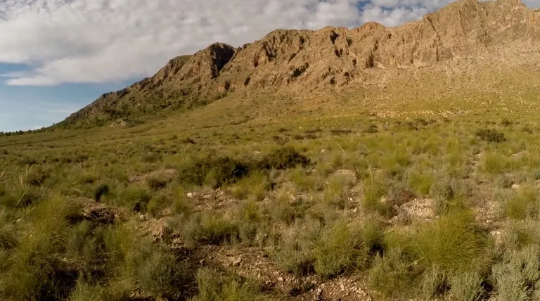 Bosque de Sierra Calasparra (Murcia).