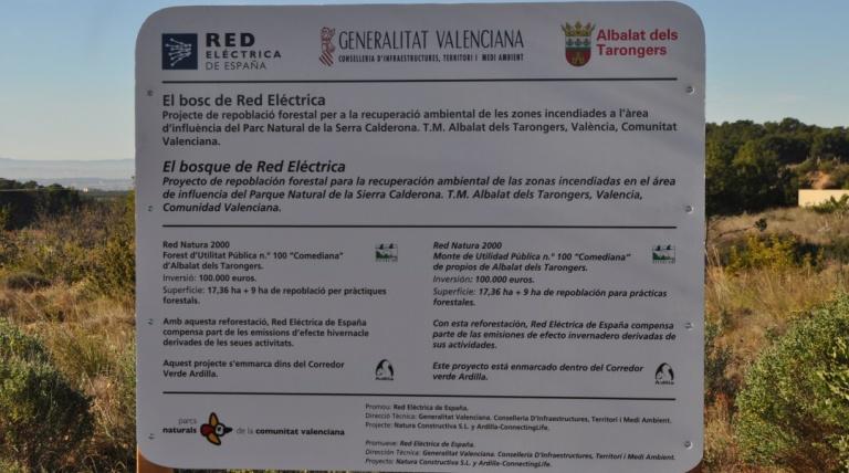 Red Eléctrica recupera una parte de la sierra Calderona (Valencia), afectada por un incendio forestal en el 2008.