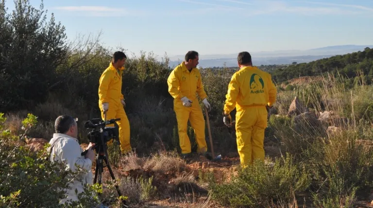 Trabajos de reforestación en el parque natural de la sierra Calderona (Valencia).