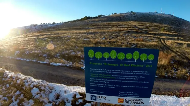 Cartel informativo del bosque de Teruel.