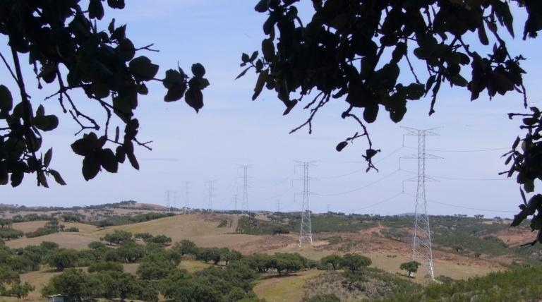 Tramo de la línea que recorre las dehesas de encinas.