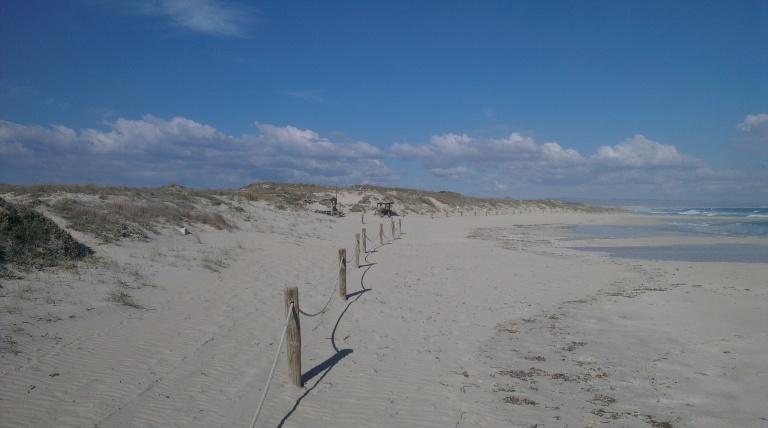 Elementos antrópicos eliminados para recuperación de foredune.