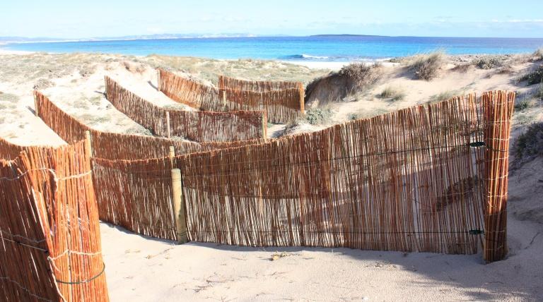 Recuperación de zona blowout (antropicamente pérdida de la arena).