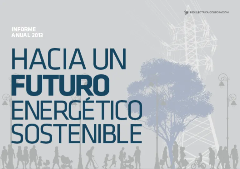 Informe anual 2013