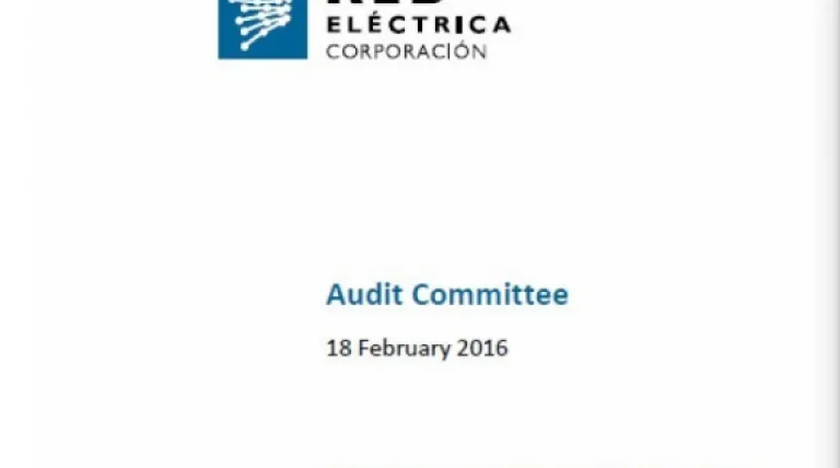 Cover of Activity Report of the Audit Committee for the year 2015