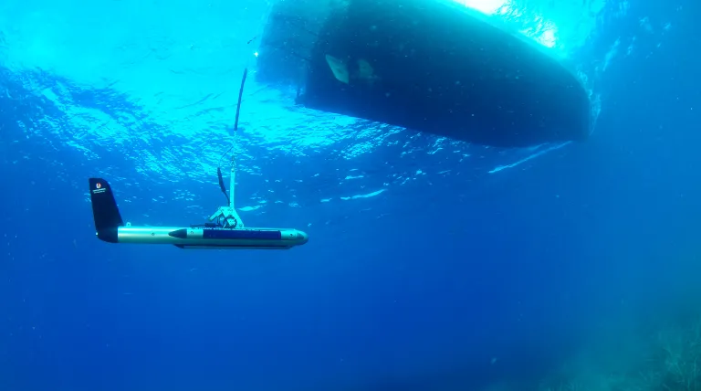 Labores de localización de las praderas de posidonia con un sónar en la bahía de Santa Ponsa (Mallorca).