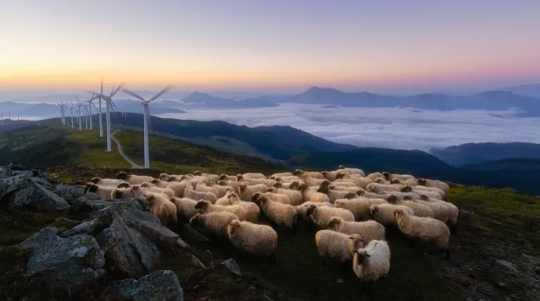 El día 1 de marzo se convirtió en el segundo día con menores emisiones asociadas a la generación eléctrica en España, con un total de 58.649,998 tCO2 equivalente. El dato alcanzado este domingo se coloca por debajo del mínimo histórico que, según los datos que ofrecen los registros, fue el 22 de diciembre de 2019, en que estas alcanzaron las 52.784,22 tCO equivalente. Pero…, ¿qué paso ese domingo 1 de marzo? El viento impulsó a la eólica a desplegar todo su potencial al producir un total de 358 GWh. Con est