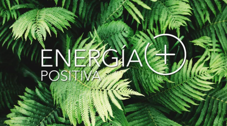 Fighting against the effects of COVID-19 with innovation and Positive