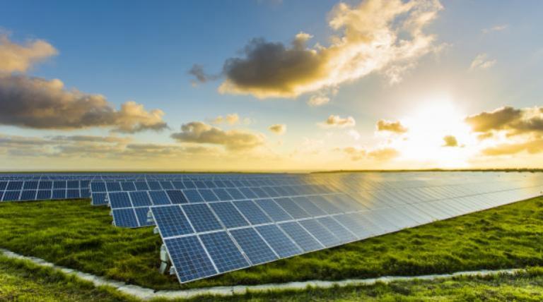 3 August, the day that solar photovoltaic smashed 2019’s figures