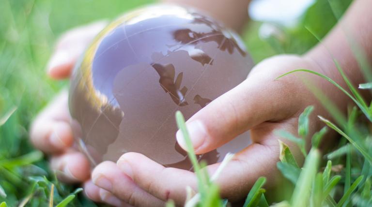 Commitment to sustainability in the supply chain Commitment to sustainability in the supply chain