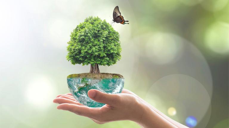 Hands holding a ball of the world with a tree and butterfly