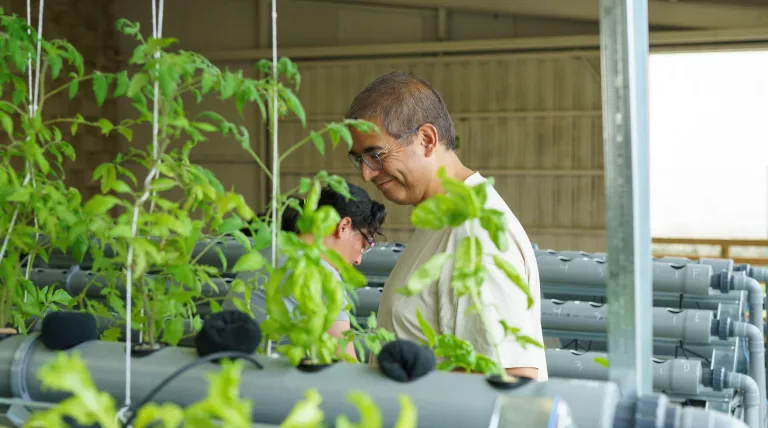 Pablo y Alma, en el negocio de hidroponía que han puesto en marcha en Belorado.