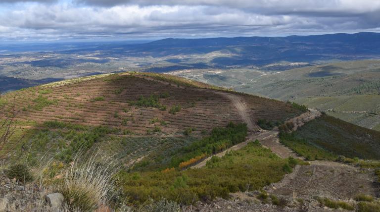 Bosque de Las Agallas (Salamanca).